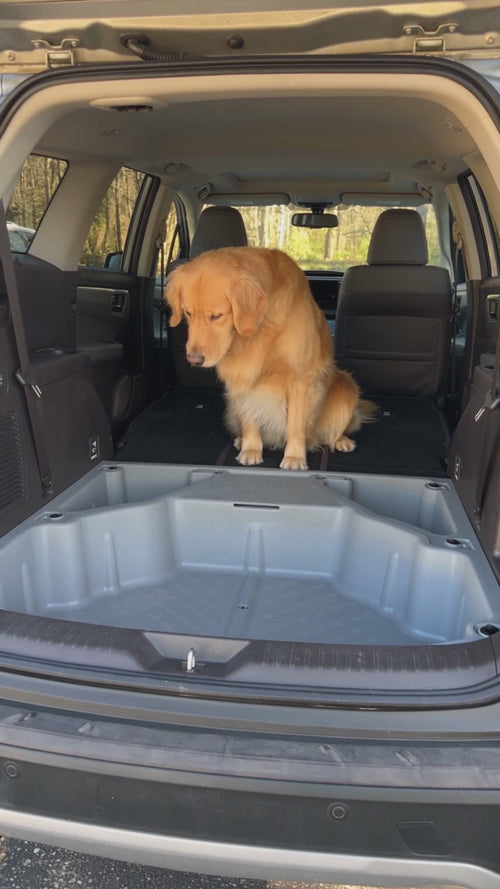 Video of the Petly dog seat extender set up in a car